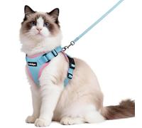 rabbitgoo Arnes para Gatos Antiescape con Correa 150cm, Arnes Gato Ajustable Reflectante, Chaleco de Tela de Malla Suave y Transpirable, Arnés Gato Grande para Caminar, M, Azul Cielo y Rosado