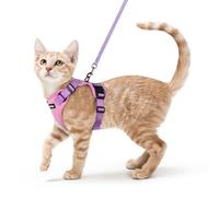 rabbitgoo Arnes para Gatos Antiescape con Correa 150cm, Arnes Gato Ajustable Reflectante, Chaleco de Tela de Malla Suave y Transpirable, Arnés Gato Mediano para Caminar, S, Rosado y Violeta Claro