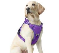 rabbitgoo Arnés para perros pequeños, medianos y grandes, chaleco de servicio táctico militar sin tirones con tiras reflectantes y mango de control, ajustable y cómodo para caminar fácilmente, morado,