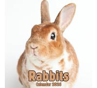 Rabbits Calendar 2026: 14-Month Organizer from Nov 2025 to Dec 2026 | Perfect for Home, Office, School & Family Scheduling, For Men , Women , Girls , Boys