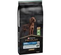 Ração para Cão Pro Plan Dog Sensitive Digestion Large Athletic Adult Lamb | 14 kg