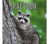Raccoon Calendar 2026: 14-Month Organizer from Nov 2025 to Dec 2026 | Perfect for Home, Office, School & Family Scheduling, For Men , Women , Girls , Boys