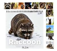 Raccoon Calendar - Paper 12-Month Spiral Binding Funny Cute Wall Calendar