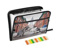 Raccoon Cat on Street - Carpeta expandible de 13 bolsillos con etiquetas, organizador de documentos A4 con cremallera