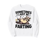 Raccoon Farting Hombres Mujeres Humor Regalos Sudadera