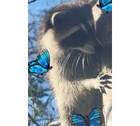 Raccoon Rhymes: Poems for Children
