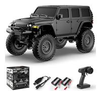 RACENT Coche de Radiocontrol Todoterreno 1:24 4x4, 2.4GHz con 2 Baterías Recargables 20min Duración, Resistente para Niños y Adultos (Negro)