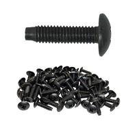 RackGold 12 - 24 Accesorio de Tornillos, G1224-SBN-T50