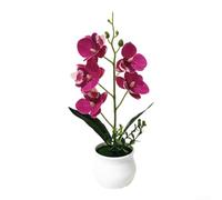 Rackumic Planta artificial de orquídea Phalaenopsis en maceta, flores falsas de seda realistas en 8 colores, 29 cm, sin bonsái sintético para el hogar, oficina, decoración de boda y regalos (rojo)