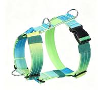 Racocou Arnés antitirones para Perros, Modelo en Y Regulable por Delante, Robusto y cómodo - Ideal para Perros medianos y Grandes, Correr y Senderismo.,Verde,L