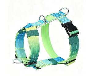 Racocou Arnés antitirones para Perros, Modelo en Y Regulable por Delante, Robusto y cómodo - Ideal para Perros medianos y Grandes, Correr y Senderismo.,Verde,XL