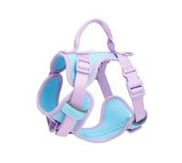 Racocou Arnés para Perro Antitirón Ajustable con Acolchado Suave, Chaleco para Mascotas con Asa de Control, Adorable Arnés Diario Transpirable y Reflectante para Perros Pequeños y Medianos,Azul,M