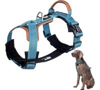 Racocou Arnés para Perro Antitirón con Acolchado de Cuero Reflectante, a Prueba de Escape, Ajustable, de Alta Resistencia con Correas de Nylon y Hebillas de Liberación Rápida,Azul,S