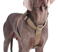 Racocou Arnés táctico para perros No-Pull Heavy Duty, chaleco acolchado ajustable para perros medianos y grandes, ligero y resistente a los brotes para entrenamiento y paseos, latón, L