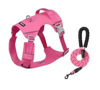 Racocou Arnés y Correa Activa para Perro - Tela Ripstop Impermeable de Secado Rápido - Ajuste Ajustable Antitirones - Ribete Reflectante y Asa Trasera de Asistencia,Rosado,S
