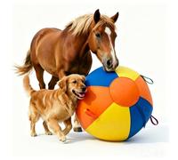 Racocou Pelota de pastoreo para perros, resistente al desgarro, pelota de entrenamiento para perros con cuerda para pastor, ganado, perro y todas las razas grandes, juego interactivo al aire libre