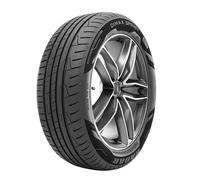 Radar Dimax Sprint 185/65R15 92H XL EVC