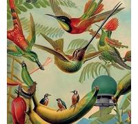 Radar Keroxen Vol.4 [Vinilo]