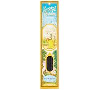 Radhe Flor DE Canela Stick Incienso Scented Garden, No aplicable