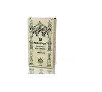 Radhe Shyam Incienso pontifical y carbones 100 g