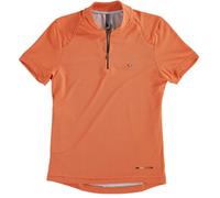 RADHE SHYAM Incienso Stick HOROSCOPO Geminis