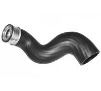 MAGNETI MARELLI 350300003800 Enfriador de aceite