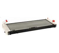 MAXGEAR AC293809 Radiador, refrigeración del motor