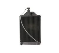 THERMOTEC D7AG102TT Radiador, refrigeración del motor