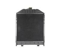 Radiador de agua D7AG123TT THERMOTEC