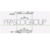 PRASCO CI206R001 Radiador, refrigeración del motor