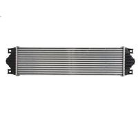 Radiador de aire de admisió THERMOTEC DAR002TT para MASTER II Autobús 3 2003-