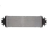 Radiador de aire de admisió THERMOTEC DAR009TT para VIVARO A Autobús 1.9 2001-