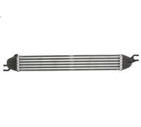 Radiador de aire de admisión MAGNETI MARELLI 351319204290 para MINI 1.6 2007-