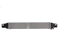 Radiador De Aire De Admisión Nrf 30254 para Citroën Fiat Peugeot