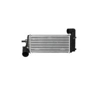 Radiador De Aire De Admisión Nrf 30909 para Ford