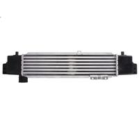 Radiador de aire de admisión THERMOTEC DA03001TT para SORENTO I (JC) 2.5 2002-