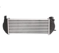 Radiador de aire de admisión THERMOTEC DAR006TT para KANGOO BE BOP 1.5 2009-