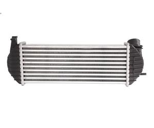 Radiador de aire de admisión THERMOTEC DAR006TT para KANGOO BE BOP 1.5 2009-