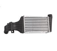 Intercooler THERMOTEC DAX006TT