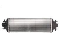 Radiador de aire de admisión THERMOTEC para VIVARO A Autobús (X83) 2.5 2003-