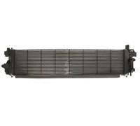 Radiador de baja temperatura, intercooler THERMOTEC DAG020TT