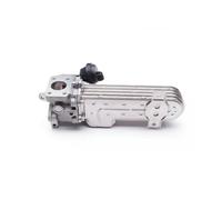 Radiador de gases de escape 14SKV138 ESEN SKV para AUDI VW SEAT SKODA