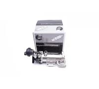 Radiador de gases de escape 14SKV227 ESEN SKV para RENAULT OPEL NISSAN