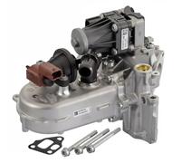PIERBURG Elemento enfriador, reciclaje gases escape para FIAT: Aegea, Tipo, 500, Qubo, Doblo, Fiorino (Ref: 7.07969.06.0)