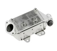 Enfriador EGR 1.3 JTD 552494540