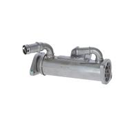 Radiador de gases de escape Acero fino 48012 NRF para LAND ROVER RANGE ROVER III