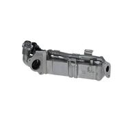 Radiador de gases de escape Acero fino 48366 NRF para BMW 1 5 6 Coupé 5 Touring