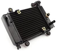 Radiador de Motor, para Motocicleta Moto Quad 4X4 ATV UTV Accesorios 200cc 250cc Refrigeración por Agua Enfriador Módulo Condensador de CA