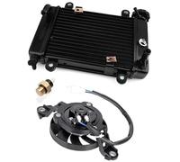 Radiador de Motor, para Motocicleta Moto Quad 4X4 ATV UTV Accesorios 200cc 250cc Refrigeración por Agua Enfriador Módulo Condensador de CA