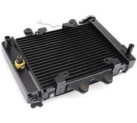 Radiador de Motor, para Motocicleta Moto Quad 4X4 ATV UTV Piezas 200cc 250cc Refrigeración por Agua Enfriador Módulo Condensador de Aire Acondicionado